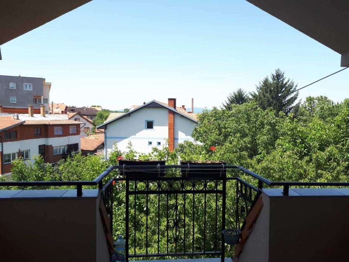 Smestaj Milenkovic Sokobanja Exterior foto