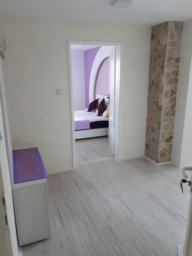 Smestaj Milenkovic Sokobanja Exterior foto